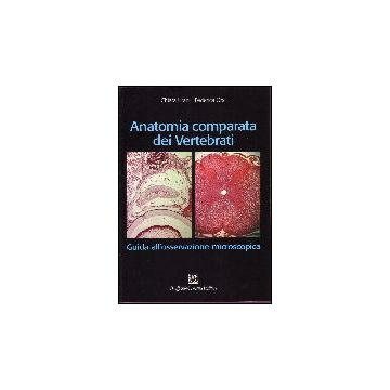 Anatomia Comparata Dei Vertebrati. Guida All'osservazione Microscopica - Urani Chiara; Orsi Federica - Cortina Raffaello - 9788860301215