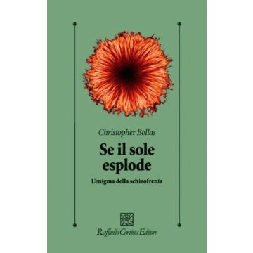 Se il sole esplode. L’enigma della schizofrenia  Bollas Christopher  Cortina Raffaello  9788860308238