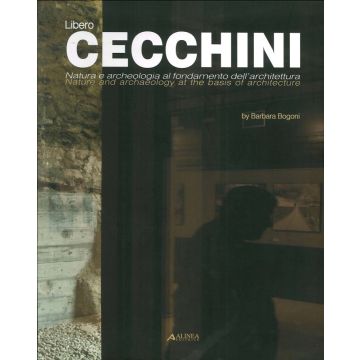 Libero Cecchini. Ediz. italiana e inglese  (Barbara Bogoni - Alinea)