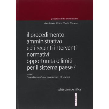Il procedimento amministrativo ed i recenti interventi normativi. Opportunità e limiti per il sistema paese?