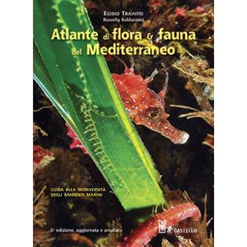 Atlante di flora & fauna del Mediterraneo  Trainito Egidio  Il Castello  9788865201619