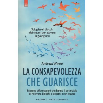 La consapevolezza che guarisce. Sciogliere i blocchi dei traumi per attivare la guarigione  Winter Andreas  Il Punto d'Incontro  9788868202095