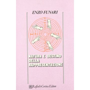 Natura E Destino Della Rappresentazione - Funari Enzo - Cortina Raffaello - 9788870780338