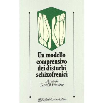 Un Modello Comprensivo Dei Disturbi Schizofrenici  - Feinsilver D. B.  - Cortina Raffaello - 9788870781472