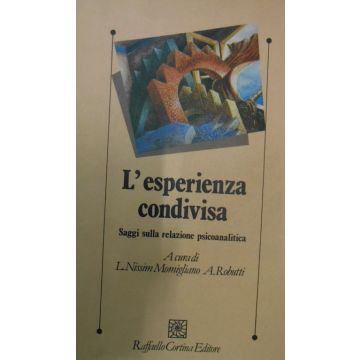 L'esperienza condivisa. Saggi sulla relazione psicoanalitica
