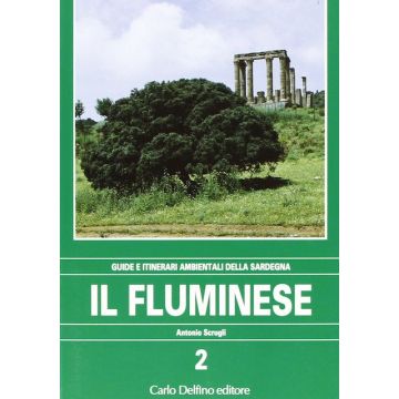 Il fluminese [Scrugli Antonio - Delfino Editore]