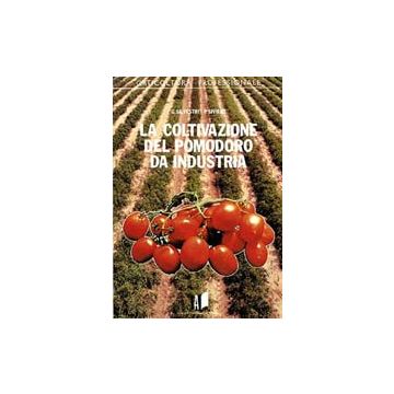 La coltivazione del pomodoro da industria