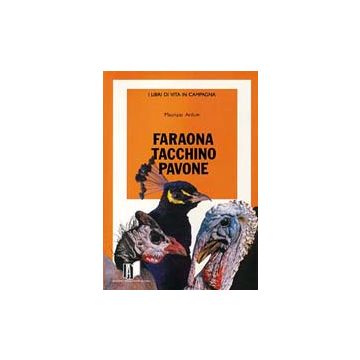 Faraona, tacchino, pavone