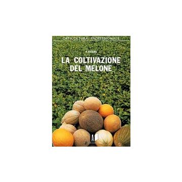 La coltivazione del melone