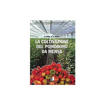 La coltivazione del pomodoro da mensa