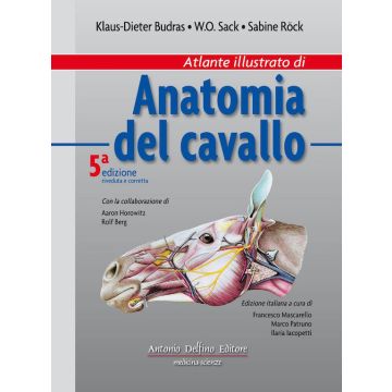 Budras Atlante di Anatomia del Cavallo