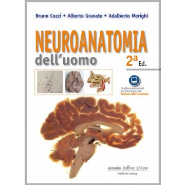 Cozzi Neuroanatomia Delfino Antonio editore