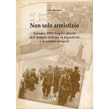 Non solo armistizio