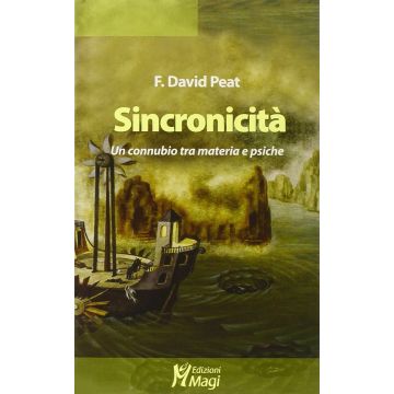 Sincronicita' - Peat David - MaGi edizioni - 9788874873432