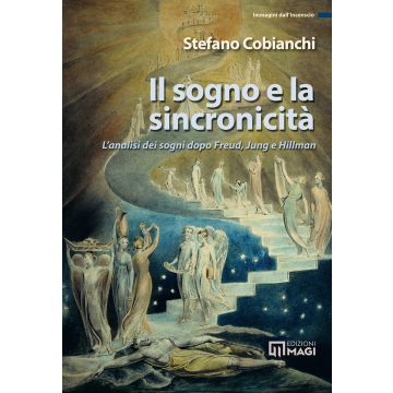Il sogno e la sincronicità. L'analisi dei sogni dopo Freud, Jung e Hillman