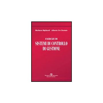 Esercizi Di Sistemi Di Controllo Di Gestione