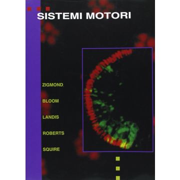 Sistemi motori