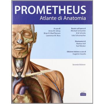 Atlante di Anatomia - Prometheus  [Gilroy - Edises]