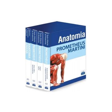 Cofanetto Anatomia: Prometheus Testo Atlante di Anatomia (3 volumi) + Martini Anatomia Umana  [Schünke; Martini - Edises]