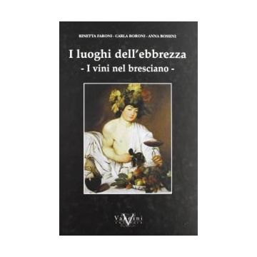 I luoghi dell'ebbrezza. I vini nel bresciano