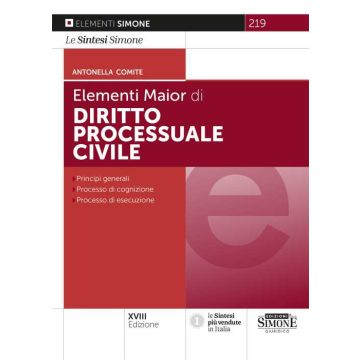 Elementi di diritto processuale civile 2024 Simone
