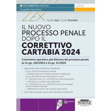 Il nuovo processo penale dopo il Correttivo Cartabia 2024. Con aggiornamento online