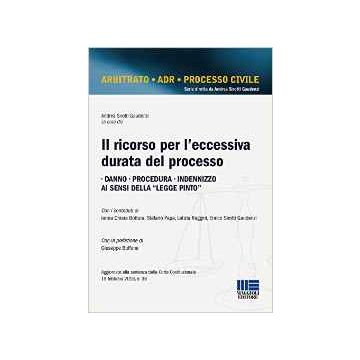 Il ricorso per l'eccessiva durata del processo.