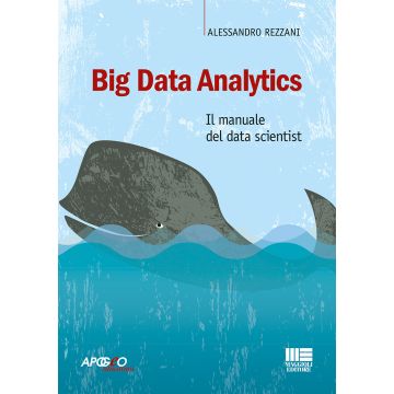 Big Data Analytics. Il manuale del data scientist (Rizzani - Apogeo Maggioli)