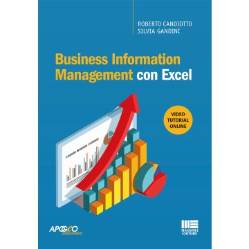 Business information management con Excel