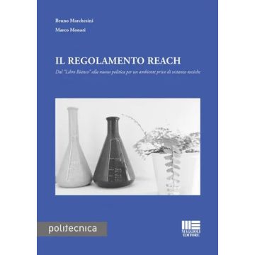 Il regolamento Reach