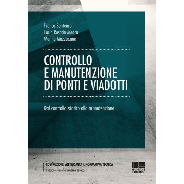 Controllo e manutenzione di ponti e viadotti. Dal controllo statico alla manutenzione