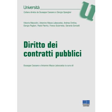 Diritto dei contratti pubblici