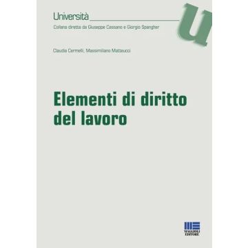 Elementi di diritto del lavoro