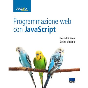 Programmazione web con Javascript