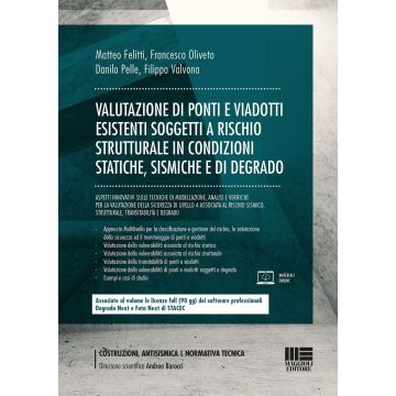 Valutazione di ponti e viadotti esistenti soggetti a rischi strutturale in condizioni statiche, sismiche e di degrado