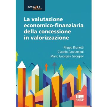 La valutazione economico-finanziaria della concessione in valorizzazione. Aggiornato al D.Lgs. 31 marzo 2023, n.36