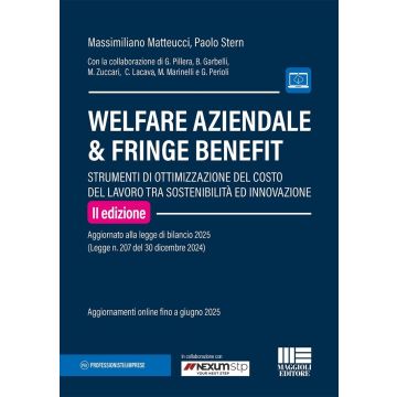Welfare aziendale & fringe benefit. Strumenti di ottimizzazione del costo del lavoro tra sostenibilità ed innovazione 2/ed. (Matteucci Massimiliano; Stern Paolo - Maggioli)