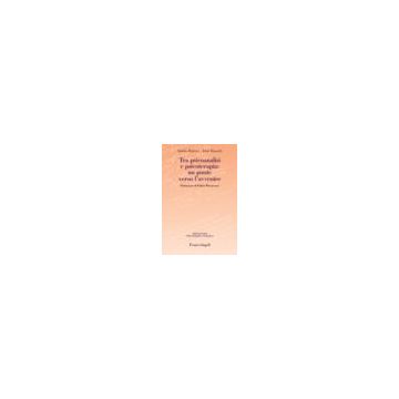 Tra Psicoanalisi E Psicoterapia: Un Ponte Verso L'avvenire - Panizza Sandro; Bassetti Anna - Franco Angeli - 9788891705297