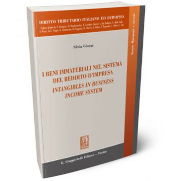 I beni immateriali nel sistema del reddito d'impresa-Intangibles in business income system