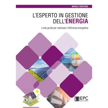 L'esperto in gestione dell'energia. Linee guida per realizzare l'efficienza energetica