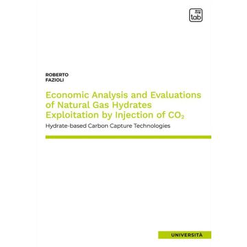 Economic analysis and evaluations of natural gas hydrates exploitation by injection of CO2. Hydrate-based carbon capture technologies