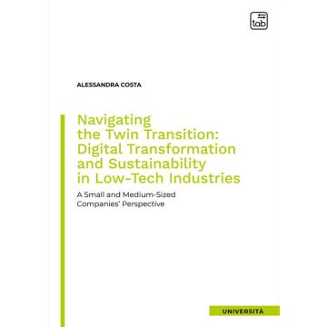 Navigating the twin transition: digital transformation and sustainability in low-tech industries. A small and medium-sized companies' perspective