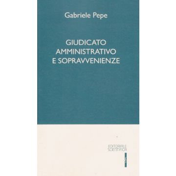 Giudicato amministrativo e sopravvenienze