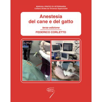 Anestesia cane gatto corletto 2019 2020 poletto