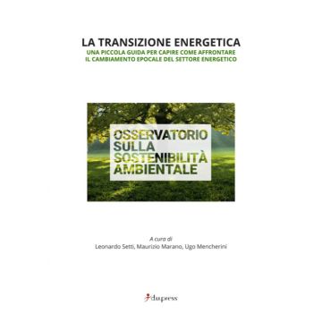 La transizione energetica. Una piccola guida per capire come affrontare il cambiamento epocale del settore energetico