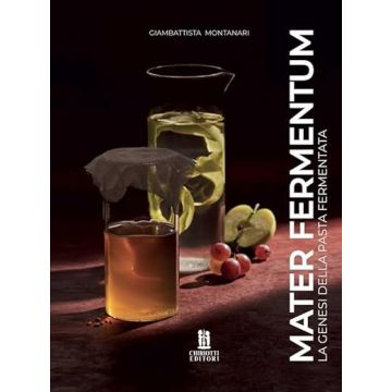 MATER FERMENTUM. la genesi della pasta fermentata (Montanari Giambattista - Chiriotti)