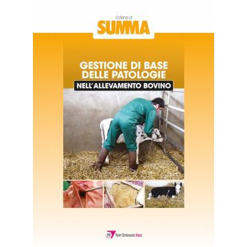 Summa Gestione di base delle patologie nell'allevamento bovino point veterinaire