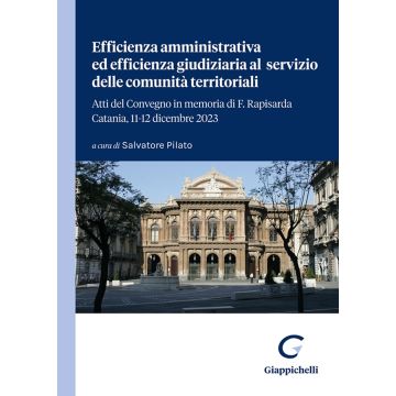 Efficienza amministrativa ed efficienza giudiziaria al servizio delle comunità territoriali. Atti del Convegno in memoria di F. Rapisarda. Catania, 11-12 dicembre 2023
