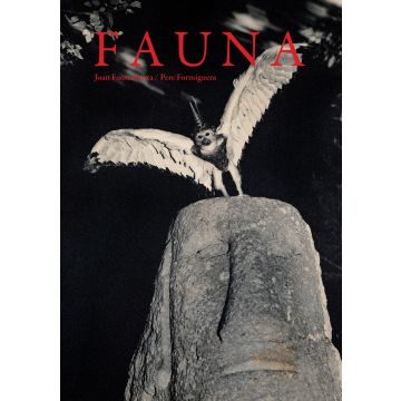 Fauna