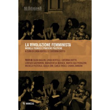 La rivoluzione femminista. Modelli teorici e pratiche politiche